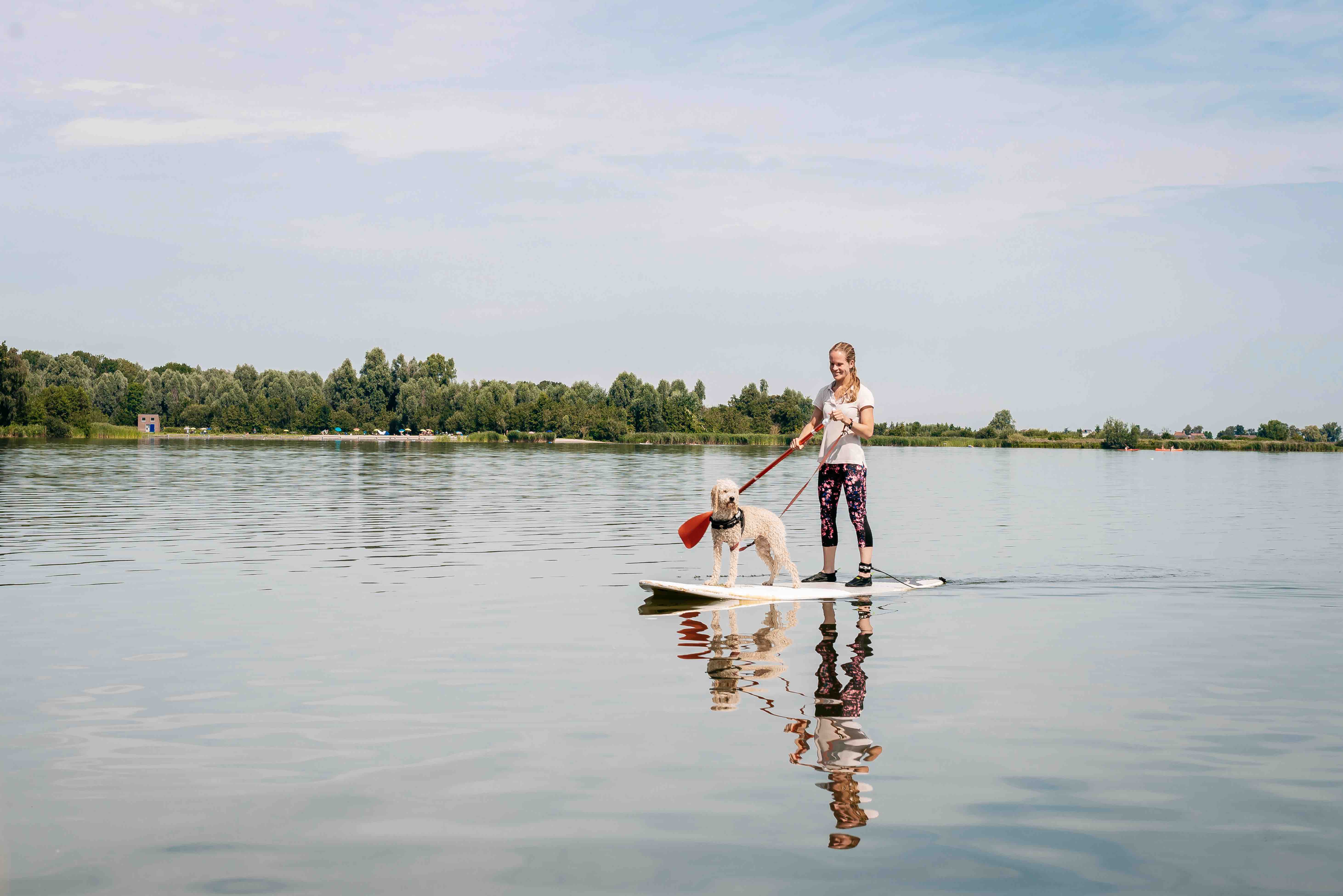 Twiske Oostzaan in de zomer